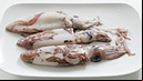 Calamari
